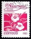 [Flowers, type BGO]