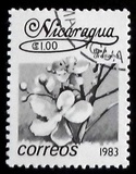 [Flowers, type BGP]