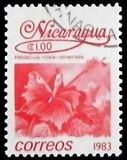 [Flowers, type BGQ]