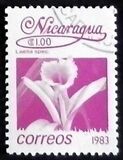 [Flowers, type BGS]