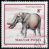 [Prehistoric Animals, тип EVJ]