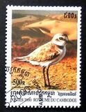 [Sea Birds, 类型 BTW]