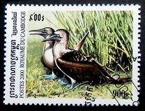[Sea Birds, 类型 BTX]