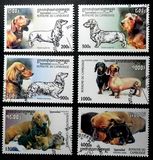 [Dogs - Dachshunds, type BVA]