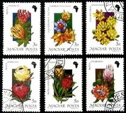 [Flowers, tegund ETW]