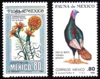 [Mexican Flora and Fauna, 類型 BHC]
