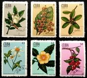 [The Medicinal Plants, type BIK]