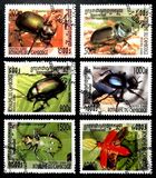 [Beetles, Scrivi BSC]