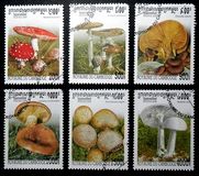 [Fungi, Scrivi BTE]