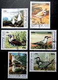 [Sea Birds, type BTV]