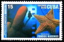 [Tourism - Diving, Вид IEO]