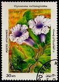 [Flora - International Stamp Exhibition ARGENTINA '85 - Buenos Aires, Argentina, type ACF]