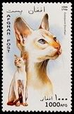 [Cats, 類型 ANB]