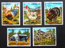 [Domestic Animals, タイプ BMK]