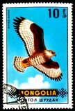 [Birds of Prey, type UH]