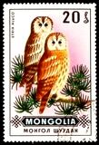 [Birds of Prey, type UI]