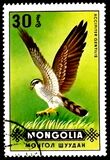 [Birds of Prey, type UJ]