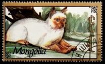 [Cats, type CDU]