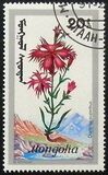 [Mountain Flowers, tip BYU]