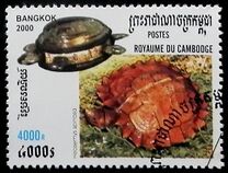 [International Stamp Exhibition "Bangkok 2000" - Bangkok, Thailand - Turtles and Tortoise, type BSO]
