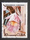 [Orchids, Tipo DAV]