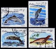 [Marine Mammals, тип DAY]