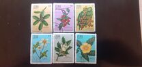 [The Medicinal Plants, type BIK]