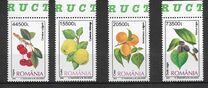 [Fruits, type ICV]