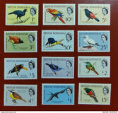 [Birds, տեսակ BS]
