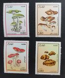 [Mushrooms, tegund UJ]