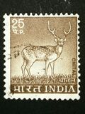 [Spotted Deer, тип PE]
