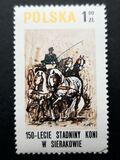 [The 150th Anniversary of Horse Riding in Sieraków, typ CGS]