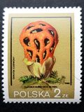 [Protected Poisonous Mushrooms, タイプ CHV]