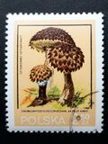 [Protected Poisonous Mushrooms, タイプ CHX]