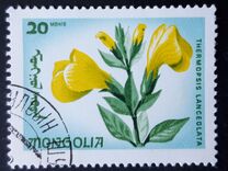 [Local Flowers, tipas OD]