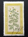 [Medicinal Plants, type OL]