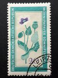 [Medicinal Plants, type ON]