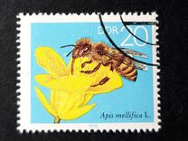 [Honey Bees, type DFT]