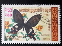 [Butterflies, type KH]