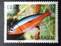 [Tropical Fish, type BCN]