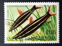 [Tropical Fish, type BCP]