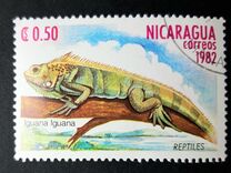 [Reptiles, type BFL]