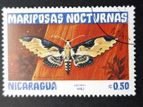 [Butterflies, type BHA]