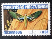 [Butterflies, type BHB]