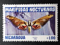 [Butterflies, type BHC]