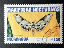 [Butterflies, type BHD]