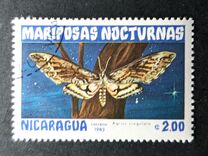 [Butterflies, type BHE]