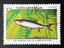 [World Food Day, type BYG]