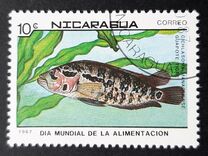 [World Food Day, type BYI]