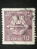 [The 50th Anniversary of the Swedish Voluntary Rifle Association, Tipi CC]
